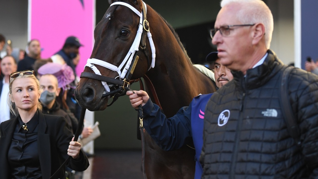 Pletcher Aims For First Dubai World Cup Title Image 3